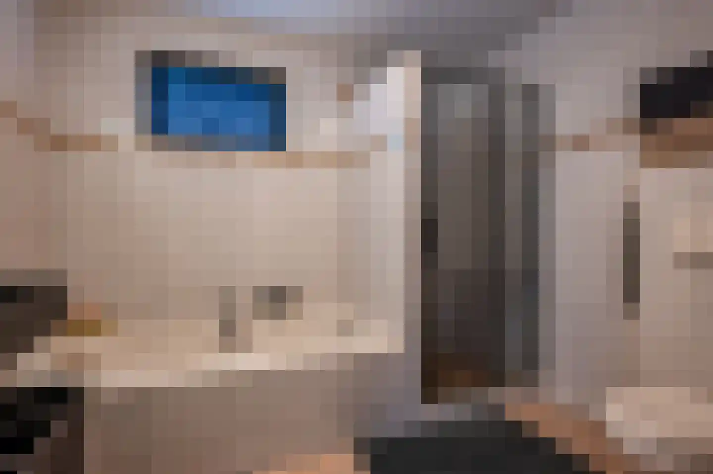 Tureluur 23 Staphorst thumbnail 25
