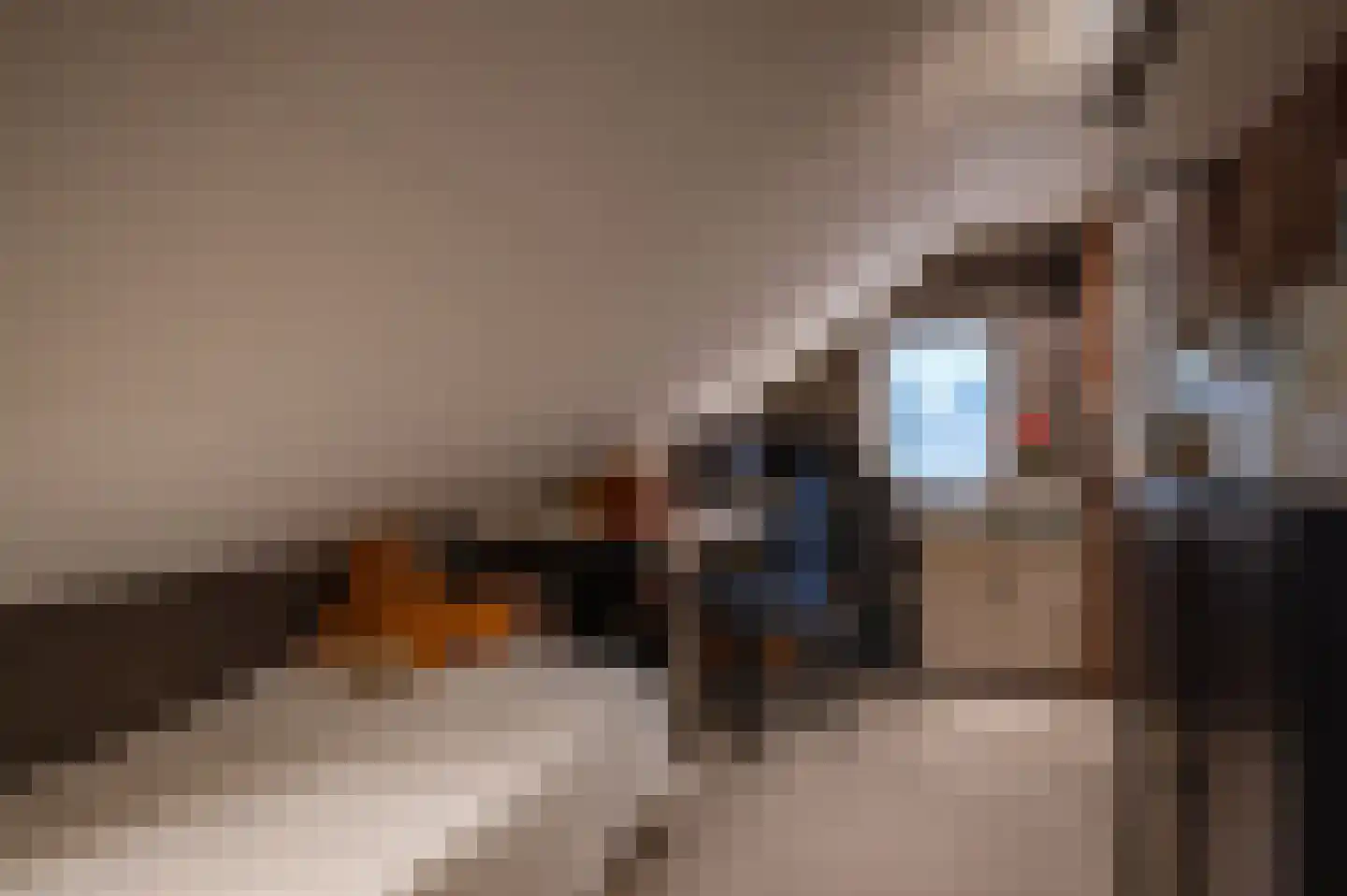 Tureluur 23 Staphorst thumbnail 28