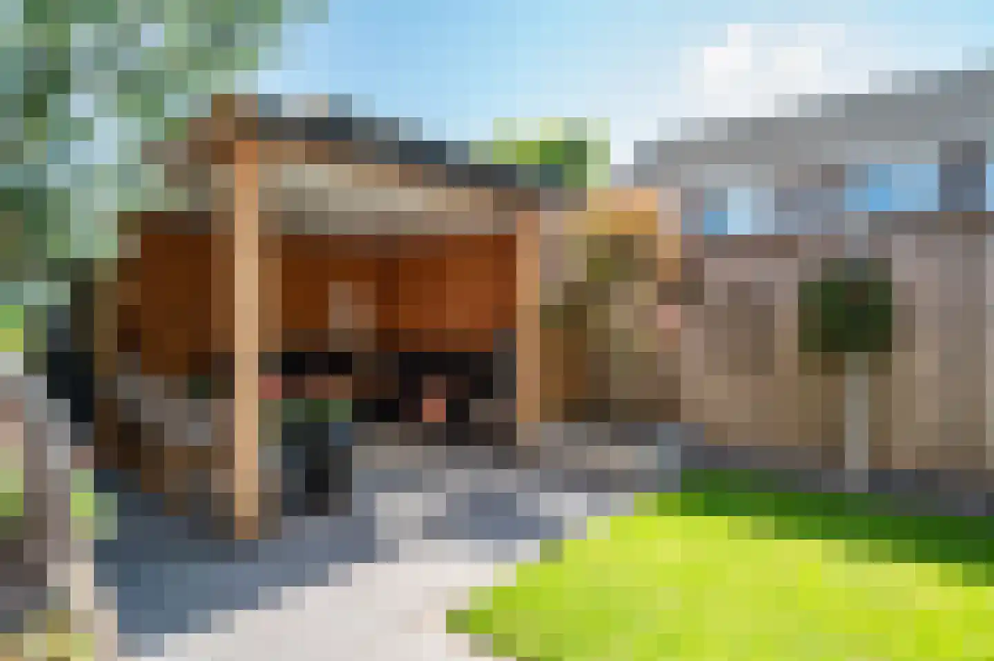 Tureluur 23 Staphorst thumbnail 31