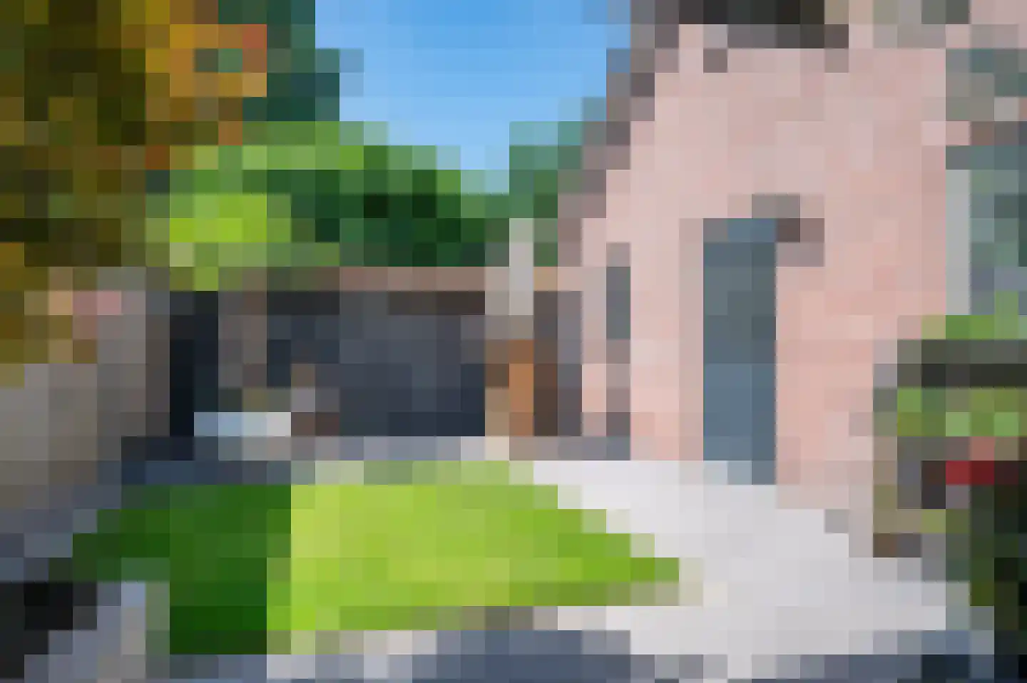 Tureluur 23 Staphorst thumbnail 34