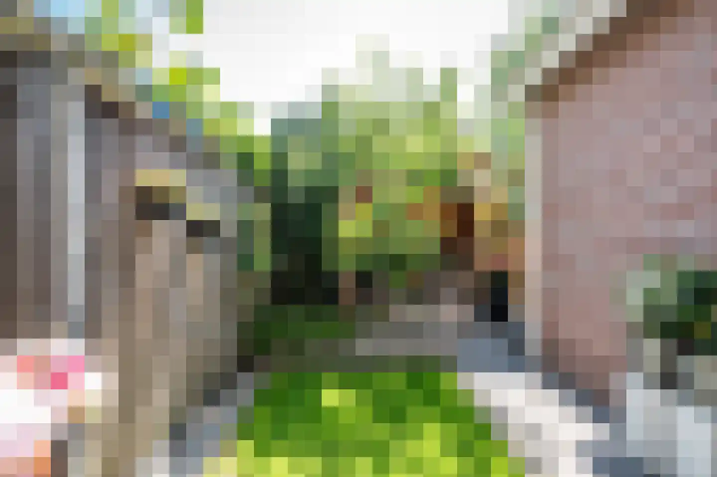 Tureluur 23 Staphorst thumbnail 35