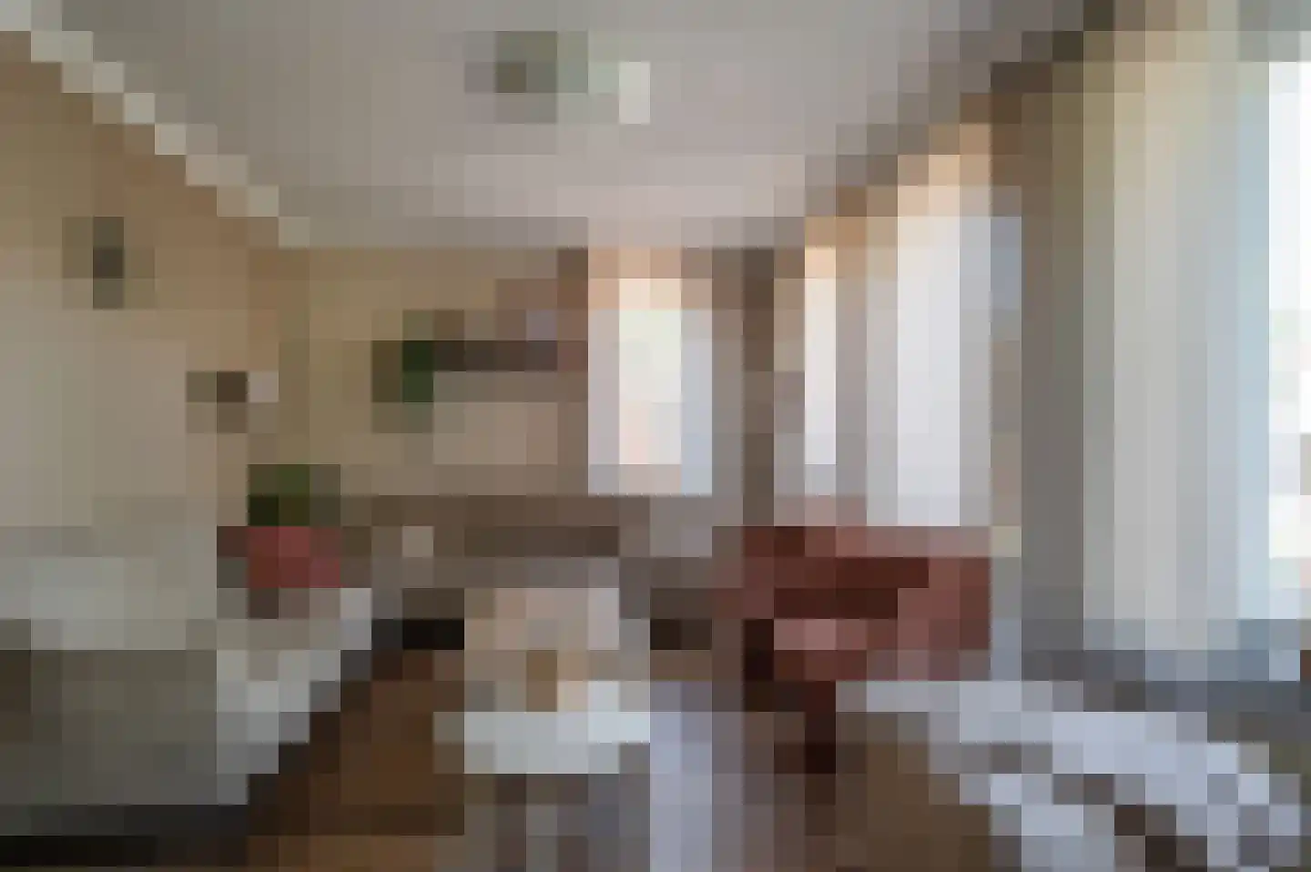 Tureluur 23 Staphorst thumbnail 6