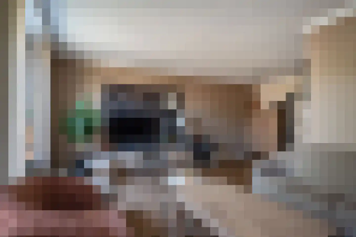 Tureluur 23 Staphorst thumbnail 7