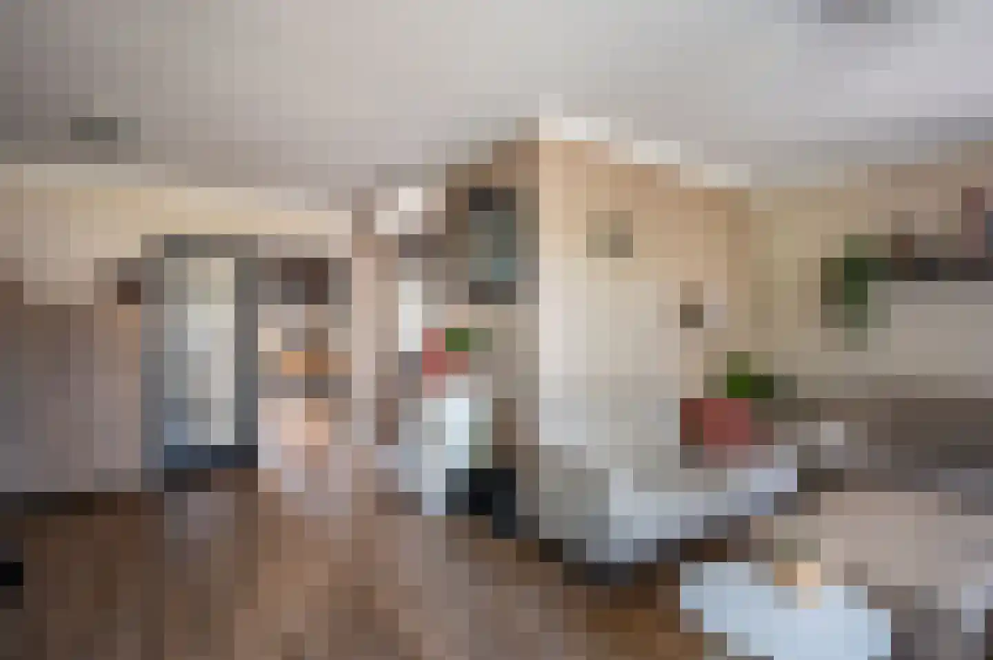 Tureluur 23 Staphorst thumbnail 8