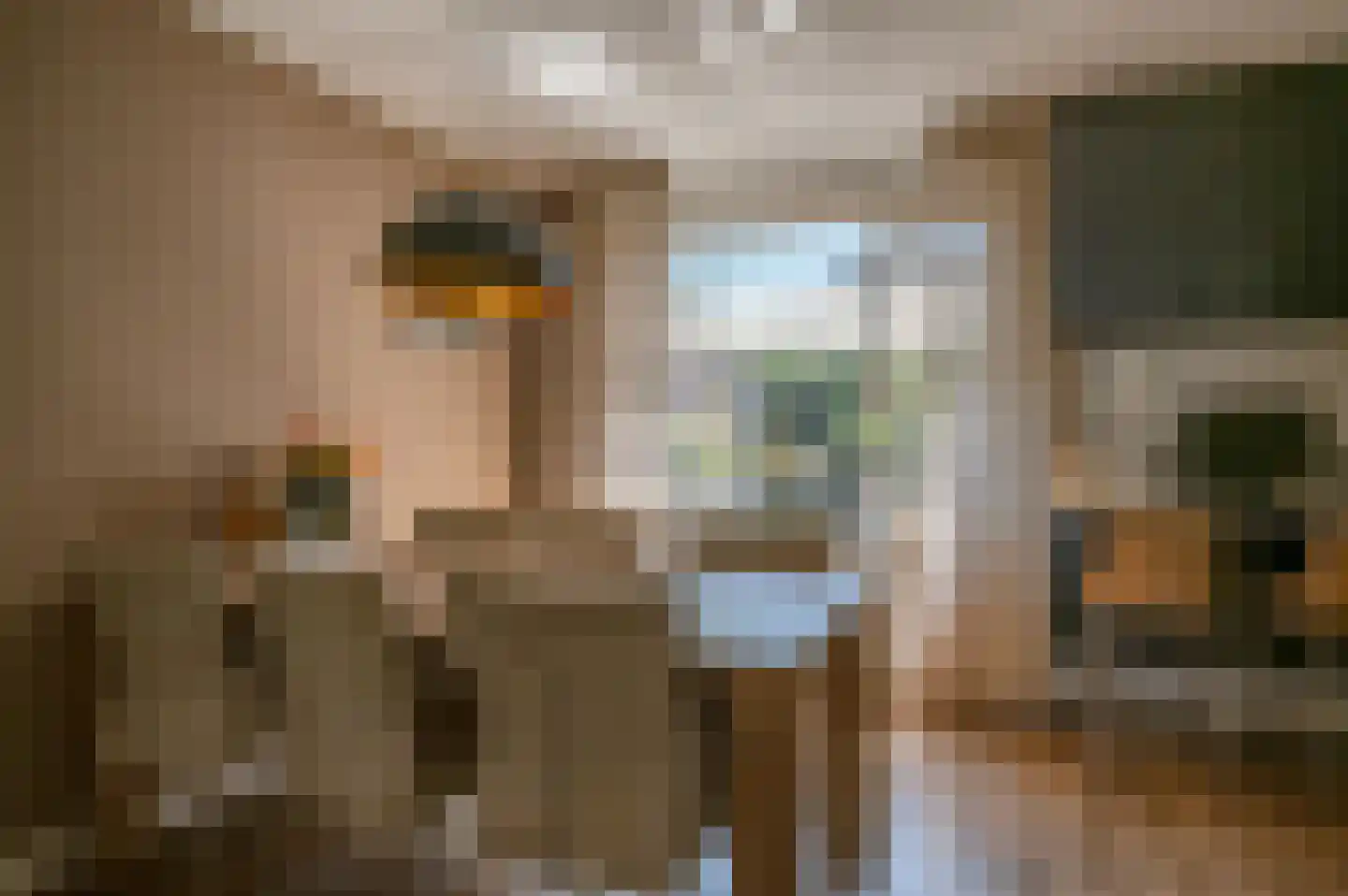 Tureluur 23 Staphorst thumbnail 9