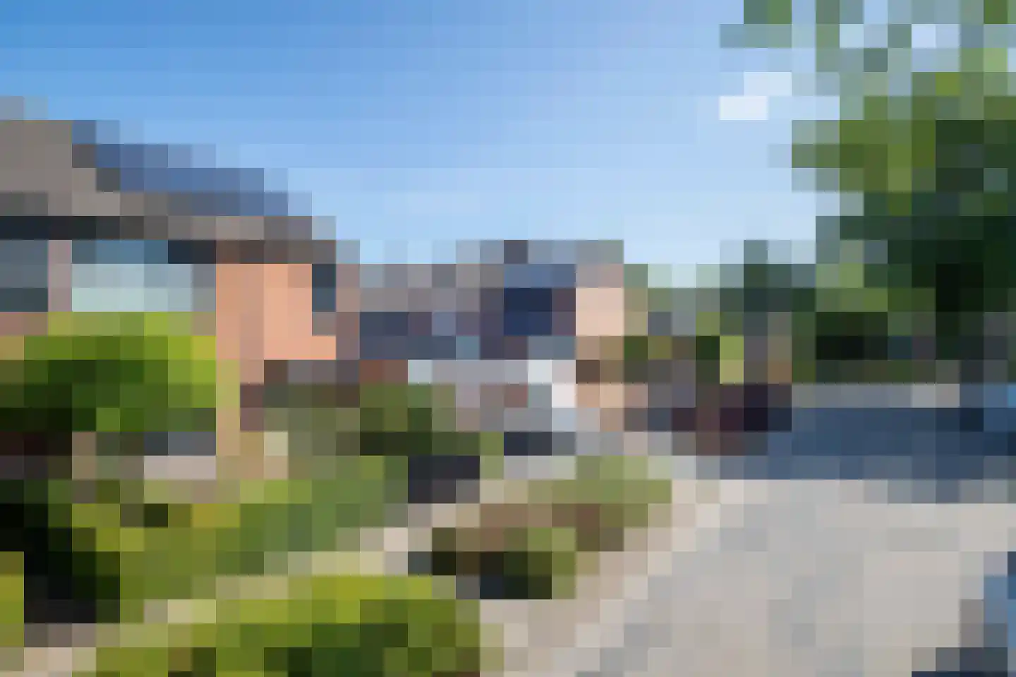 Tureluur 26 Genemuiden thumbnail 11
