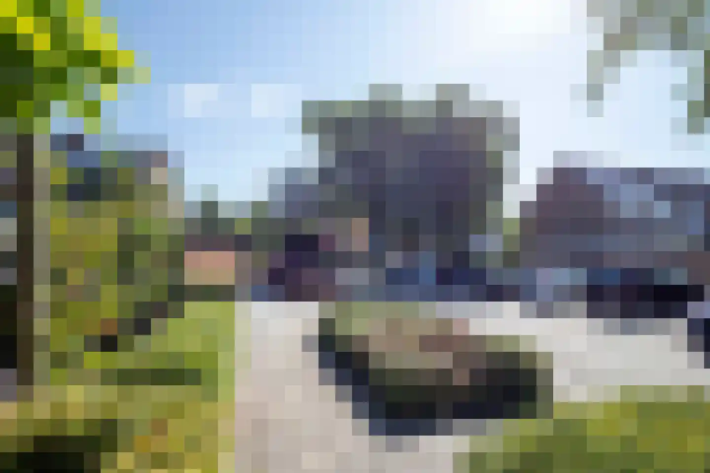 Tureluur 26 Genemuiden thumbnail 12
