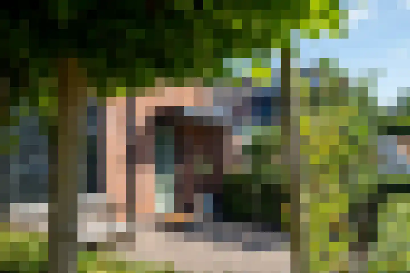 Tureluur 26 Genemuiden thumbnail 13