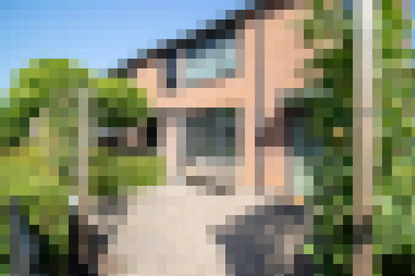 Tureluur 26 Genemuiden thumbnail 15