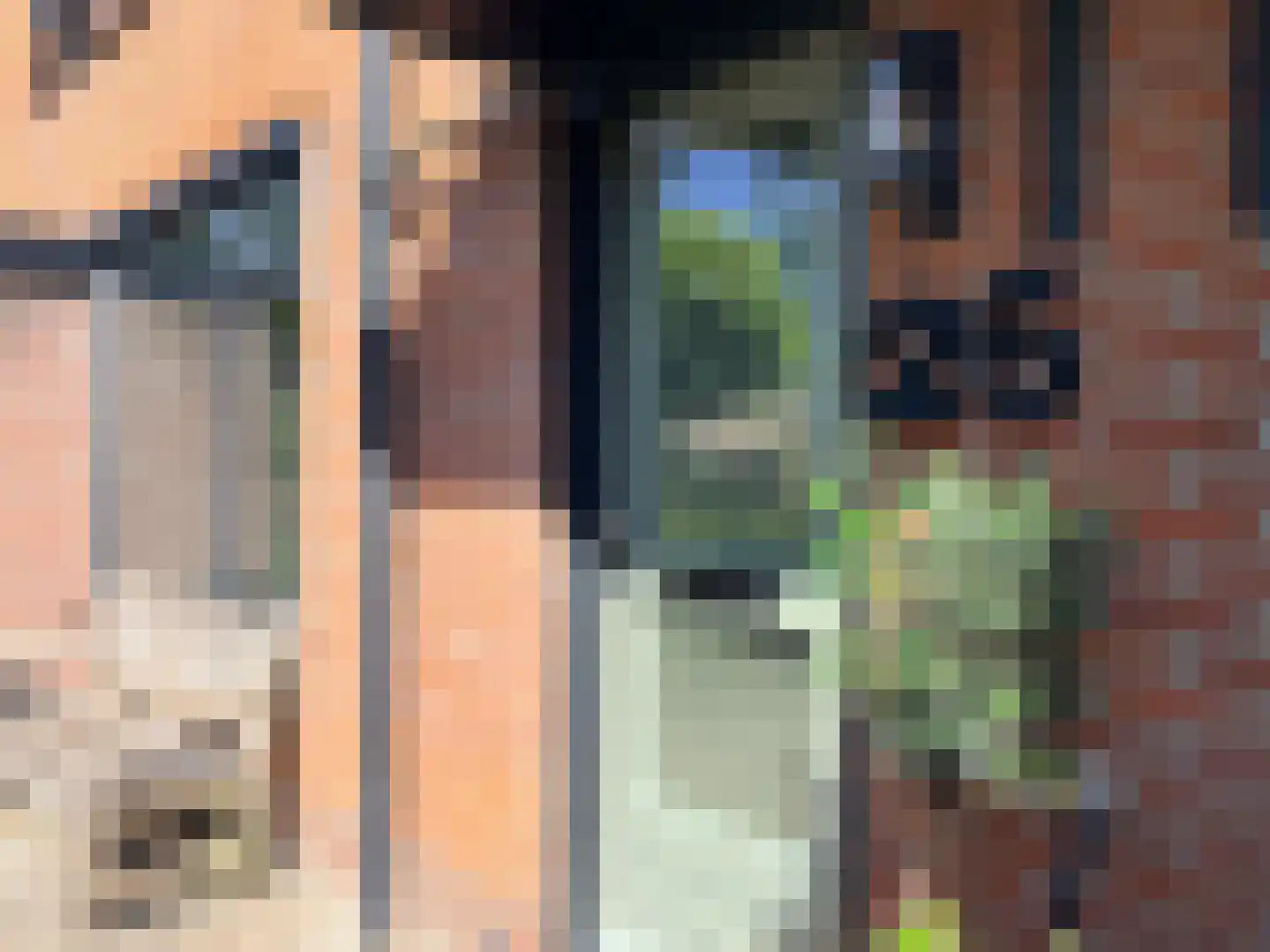 Tureluur 26 Genemuiden thumbnail 16