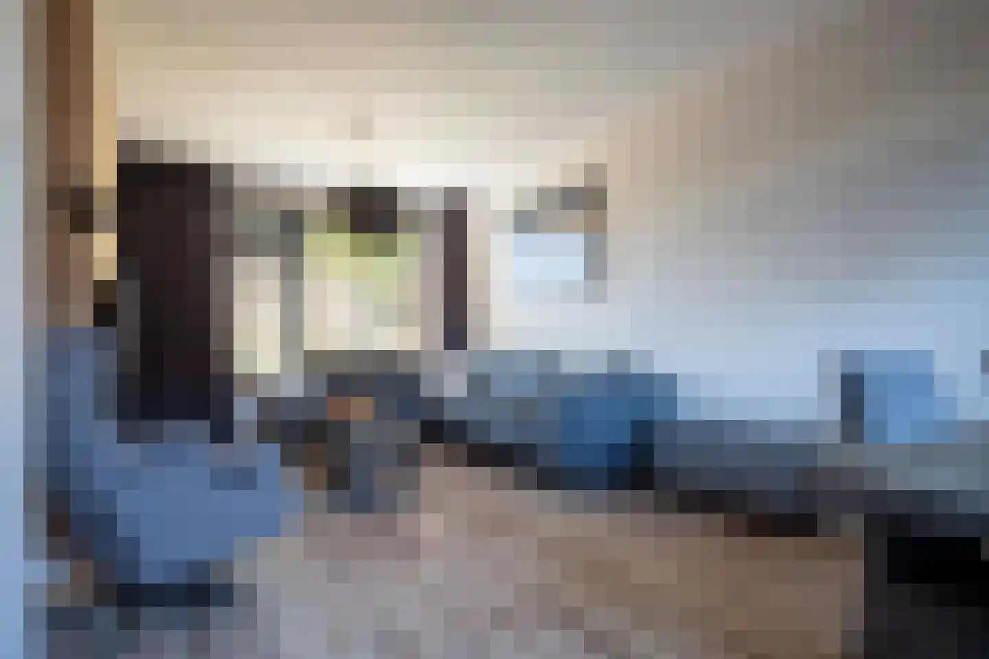 Tureluur 26 Genemuiden thumbnail 18