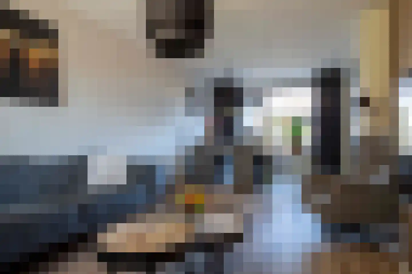 Tureluur 26 Genemuiden thumbnail 19