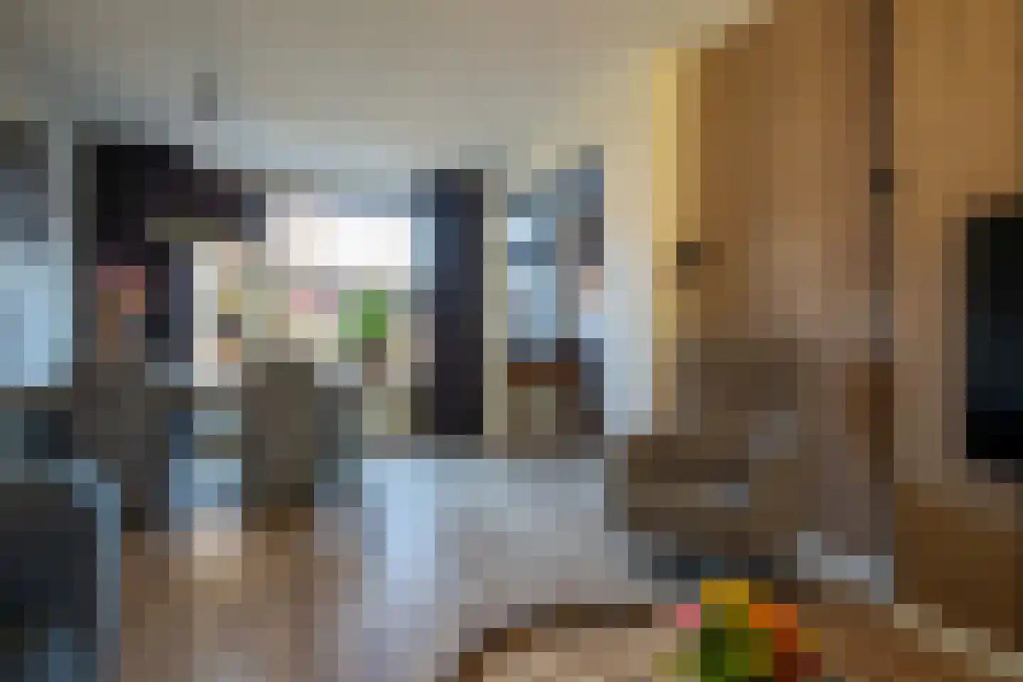 Tureluur 26 Genemuiden thumbnail 20