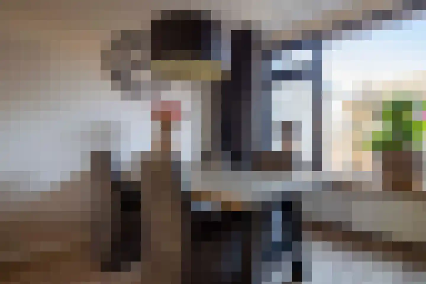 Tureluur 26 Genemuiden thumbnail 21