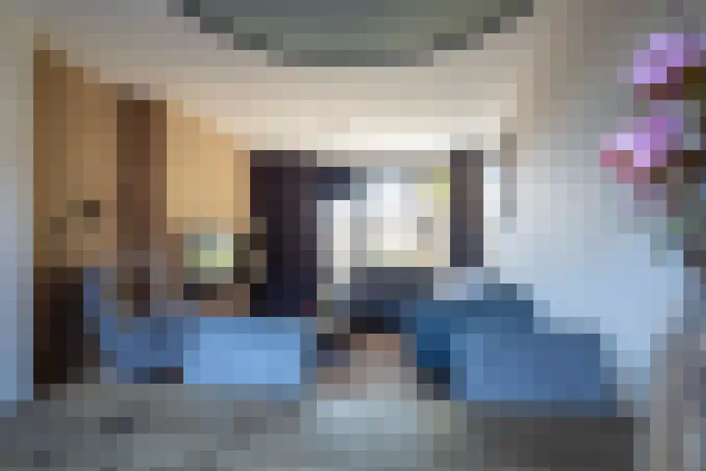 Tureluur 26 Genemuiden thumbnail 22