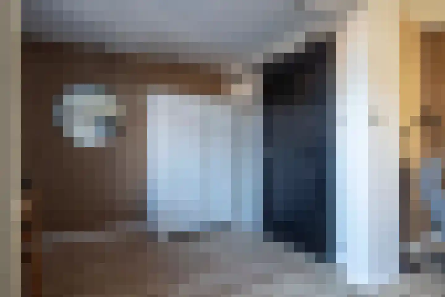 Tureluur 26 Genemuiden thumbnail 23