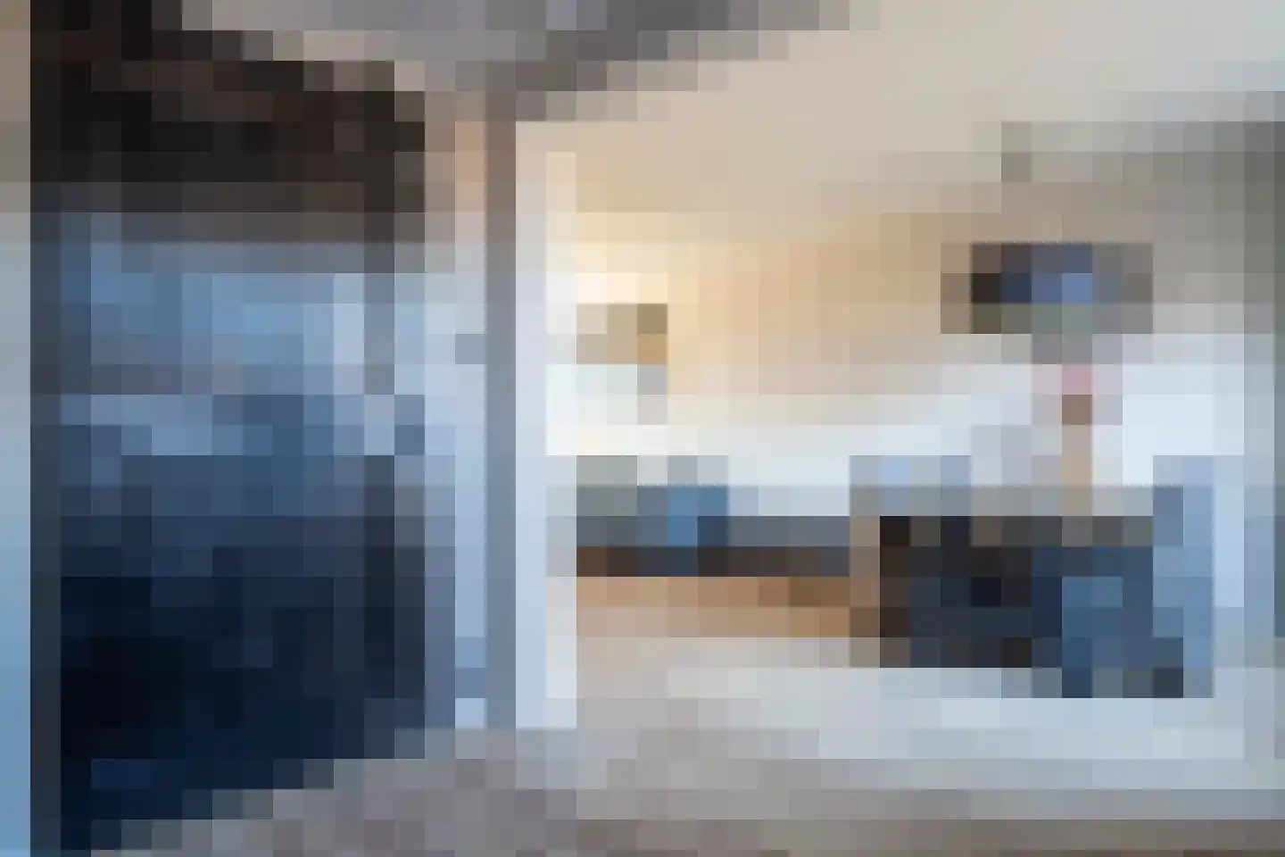 Tureluur 26 Genemuiden thumbnail 24