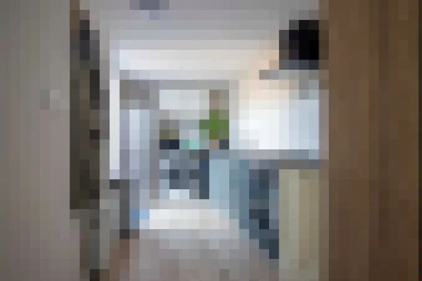 Tureluur 26 Genemuiden thumbnail 25