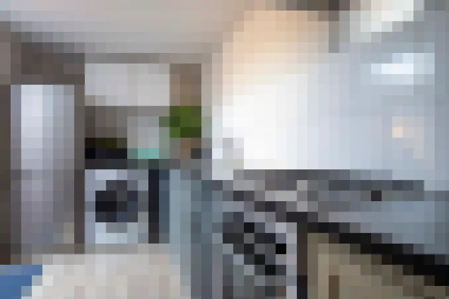 Tureluur 26 Genemuiden thumbnail 26