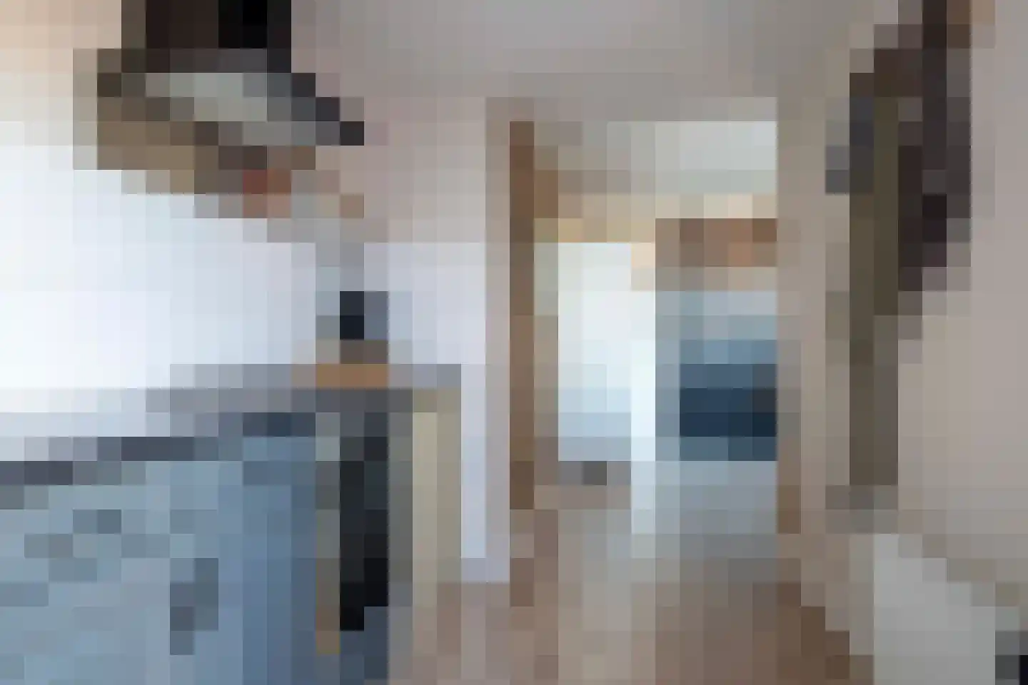 Tureluur 26 Genemuiden thumbnail 27