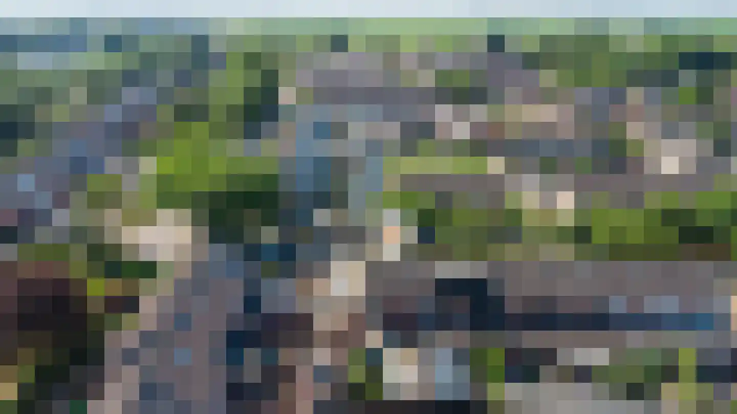 Tureluur 26 Genemuiden thumbnail 28