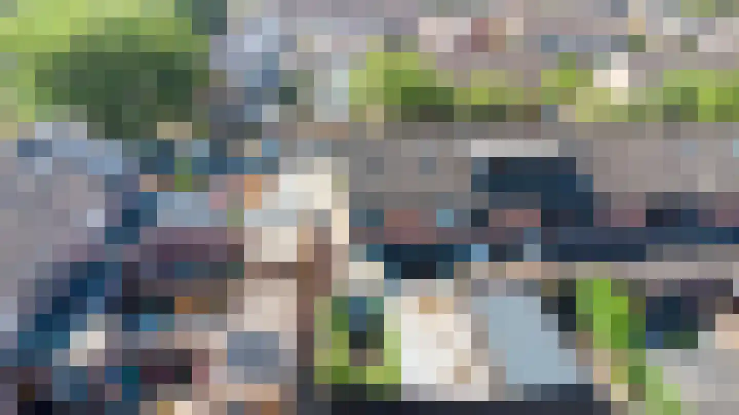 Tureluur 26 Genemuiden thumbnail 29