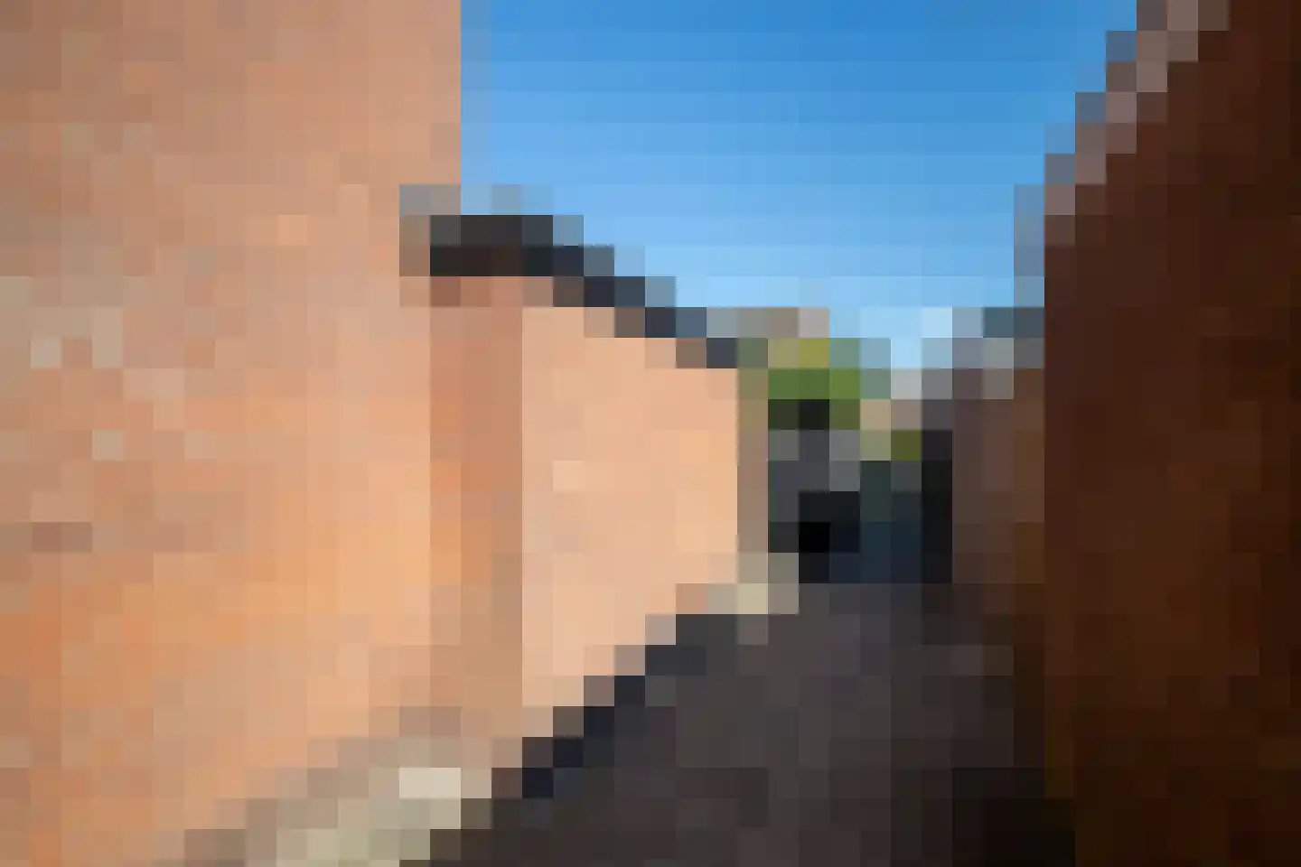 Tureluur 26 Genemuiden thumbnail 30