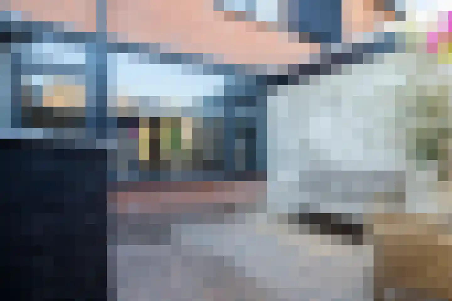 Tureluur 26 Genemuiden thumbnail 32