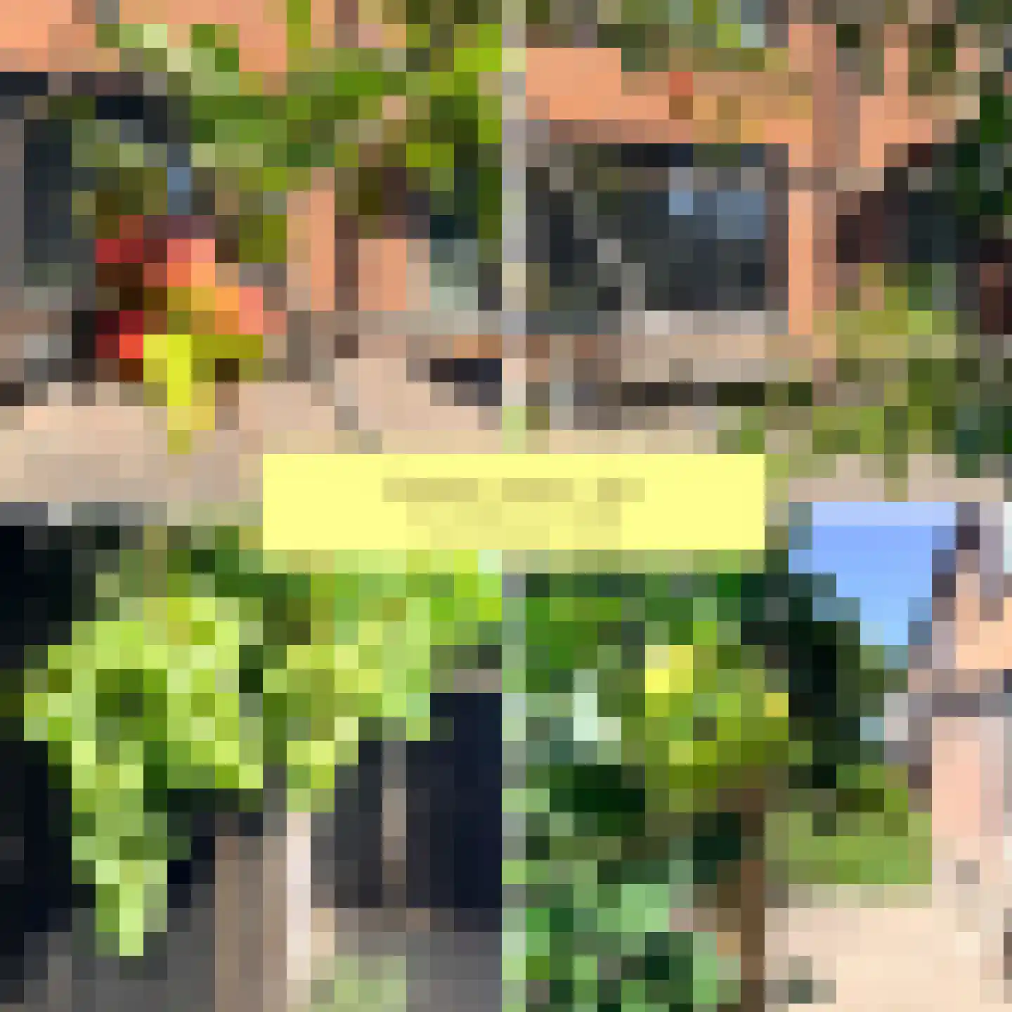 Tureluur 26 Genemuiden thumbnail 34