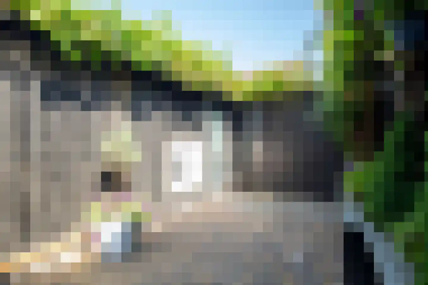 Tureluur 26 Genemuiden thumbnail 36