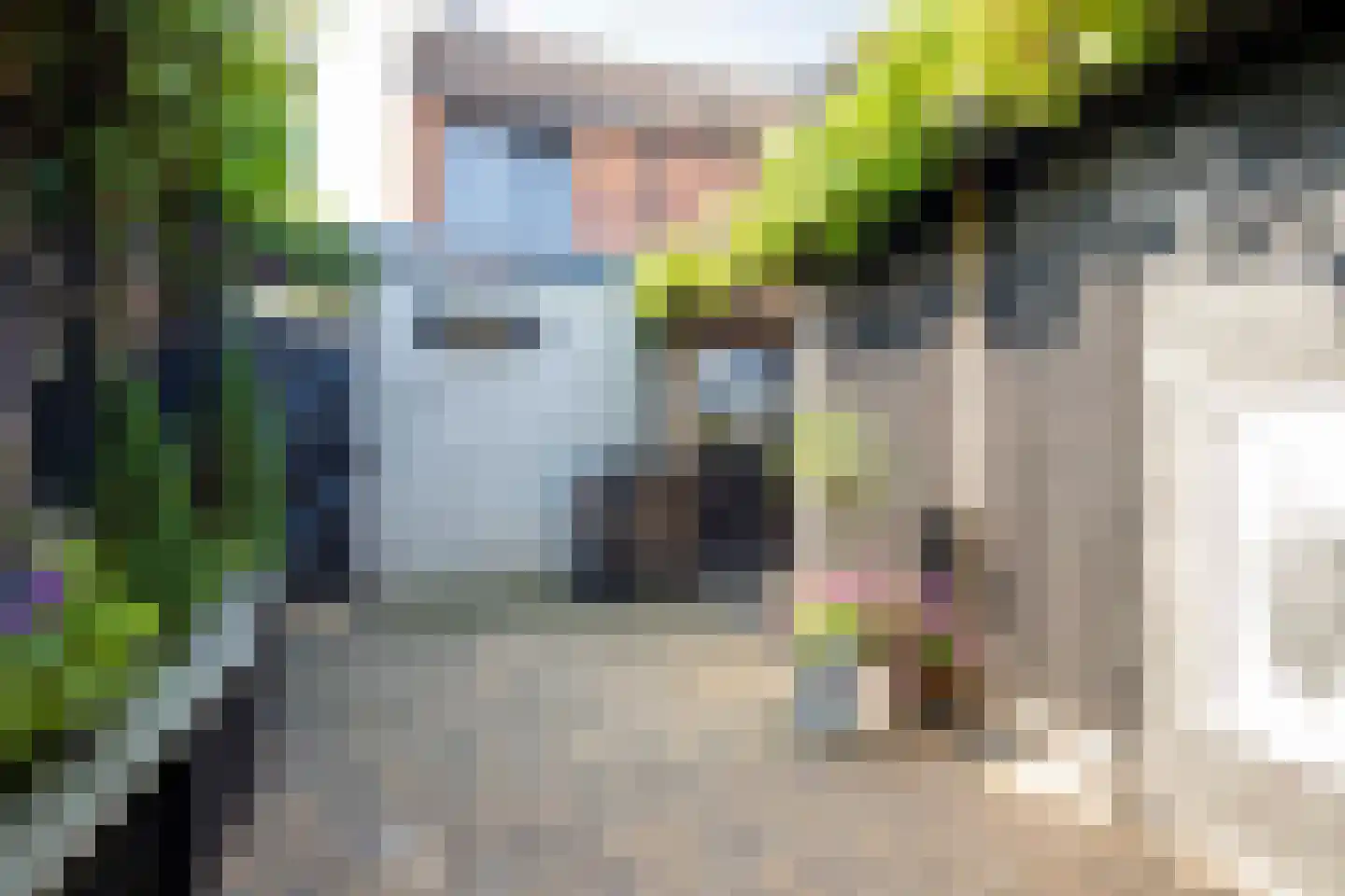Tureluur 26 Genemuiden thumbnail 37