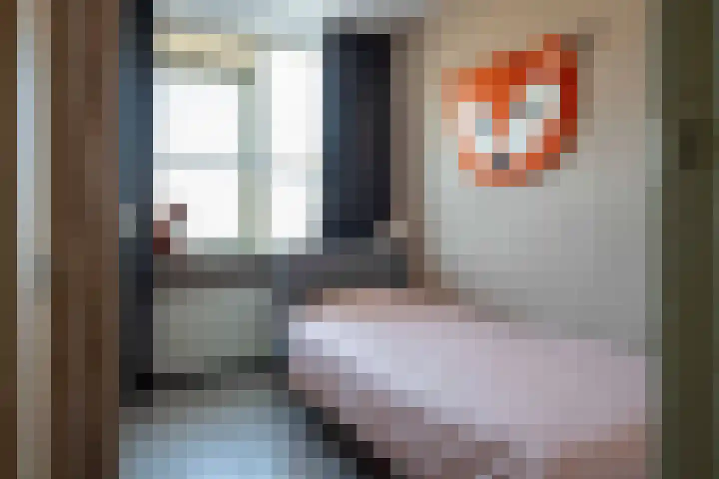 Tureluur 26 Genemuiden thumbnail 40