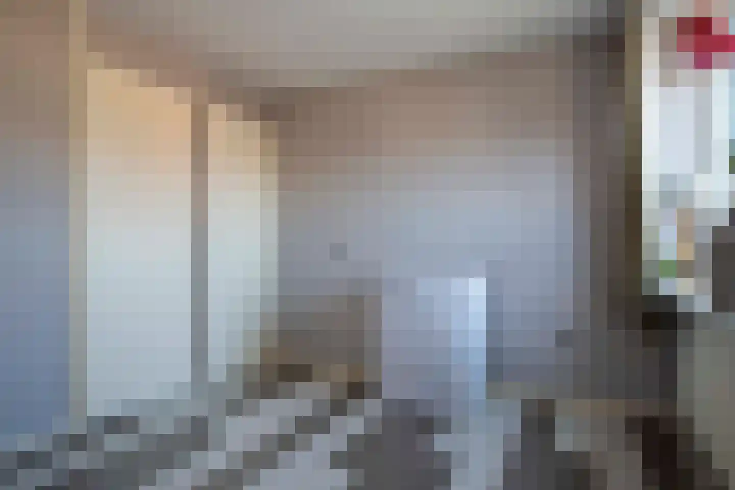 Tureluur 26 Genemuiden thumbnail 42