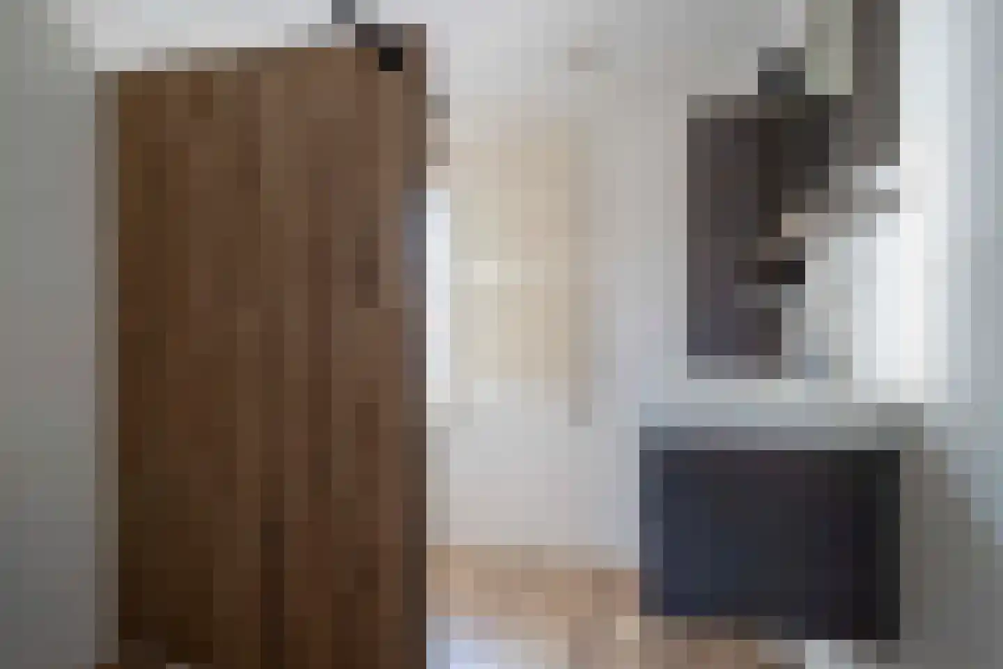 Tureluur 26 Genemuiden thumbnail 43