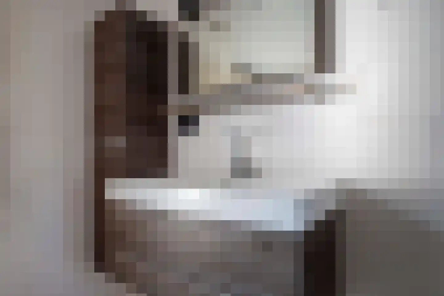Tureluur 26 Genemuiden thumbnail 44