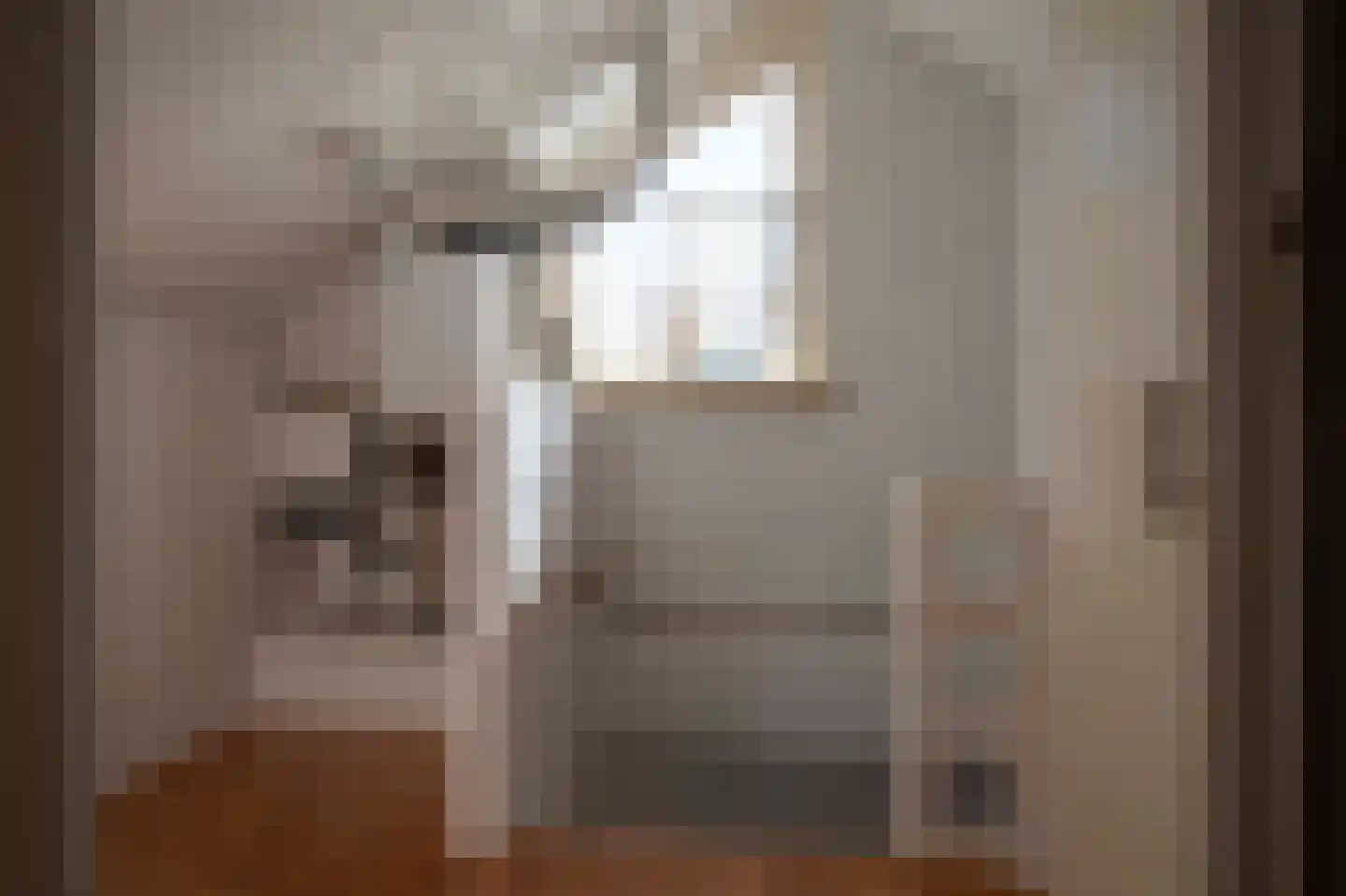 Tureluur 26 Genemuiden thumbnail 47