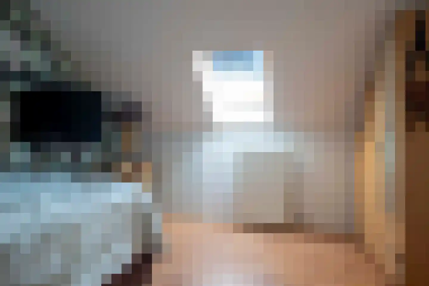 Tureluur 26 Genemuiden thumbnail 49