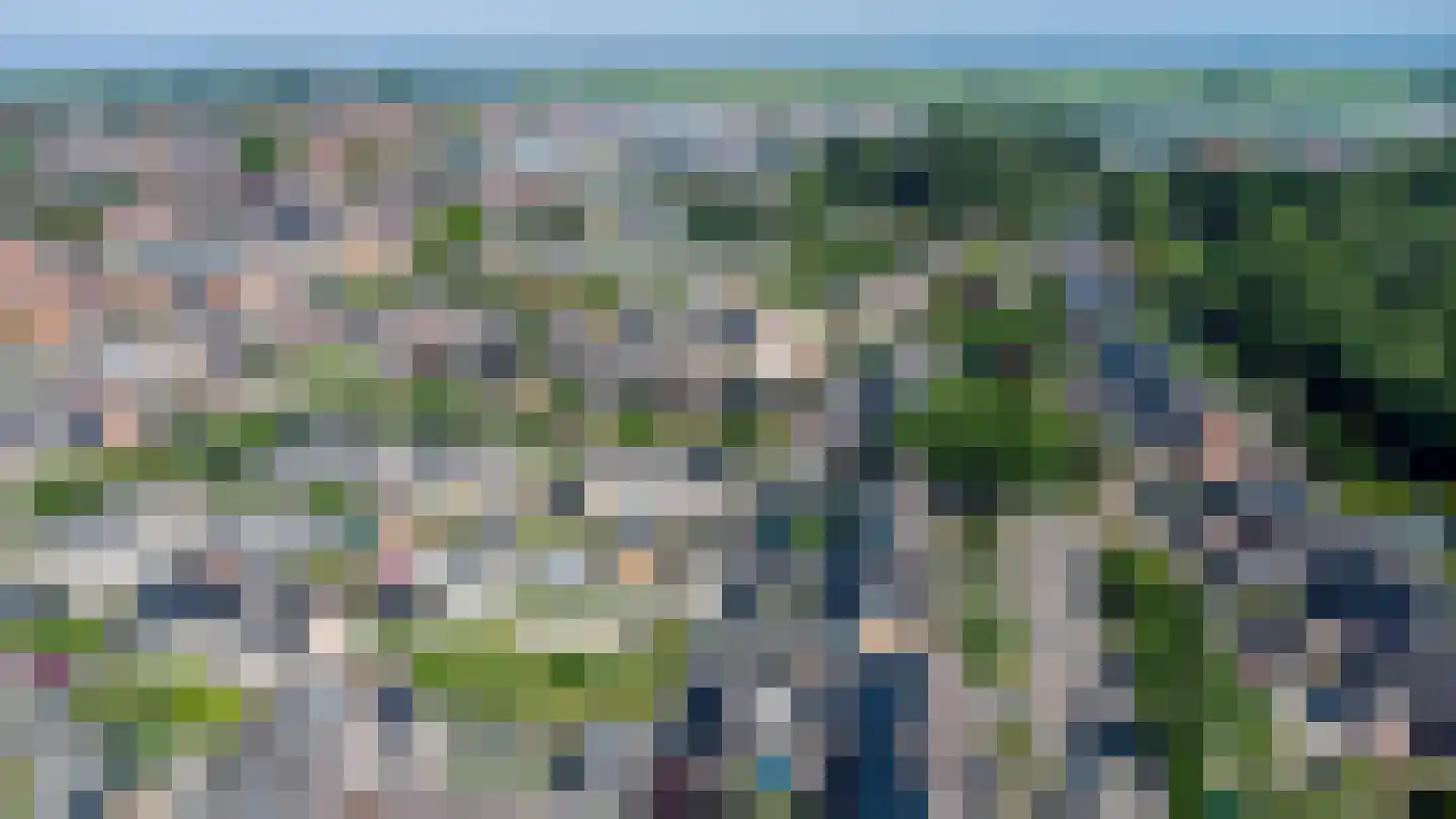 Tureluur 26 Genemuiden thumbnail 5