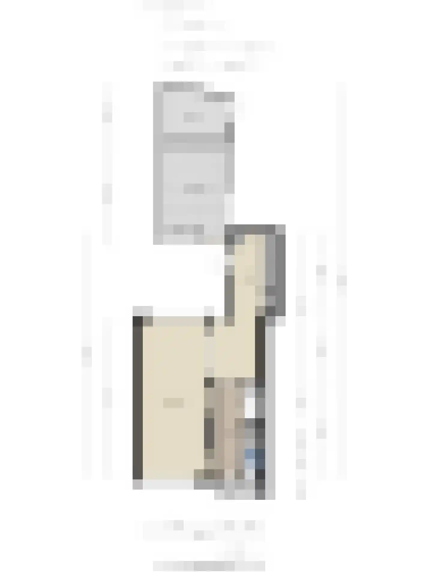 Tureluur 26 Genemuiden thumbnail 50