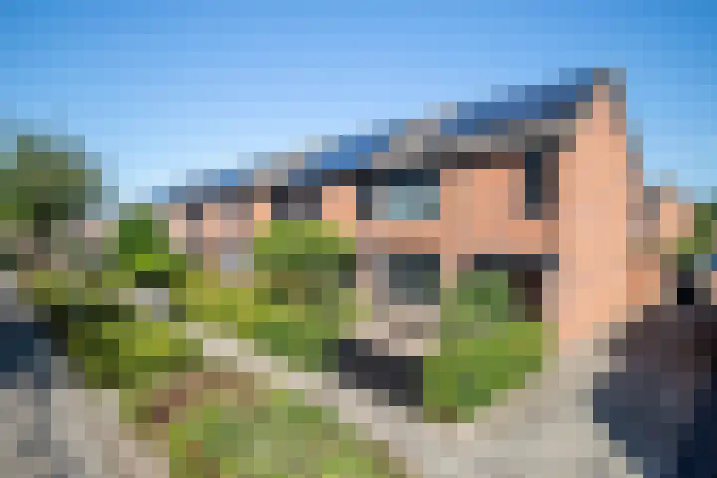 Tureluur 26 Genemuiden thumbnail 9