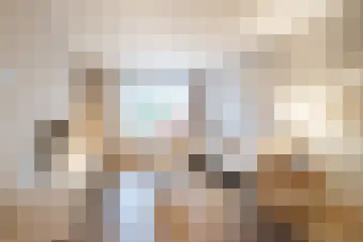 Tureluur 30 Genemuiden thumbnail 10