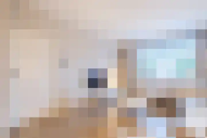 Tureluur 30 Genemuiden thumbnail 11