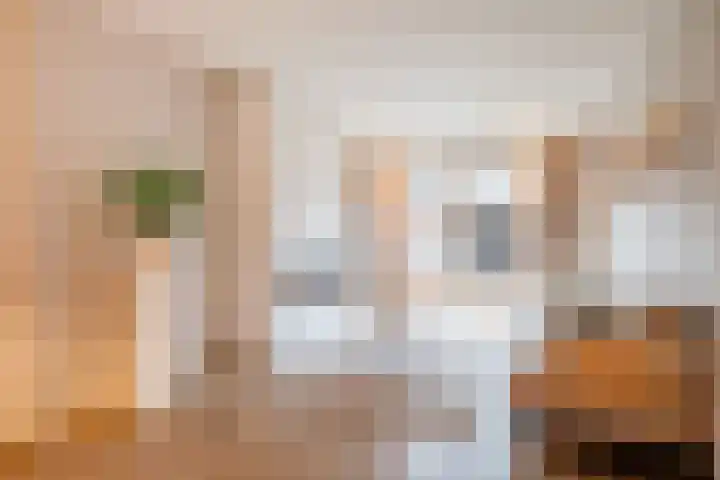 Tureluur 30 Genemuiden thumbnail 12