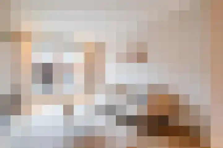 Tureluur 30 Genemuiden thumbnail 13
