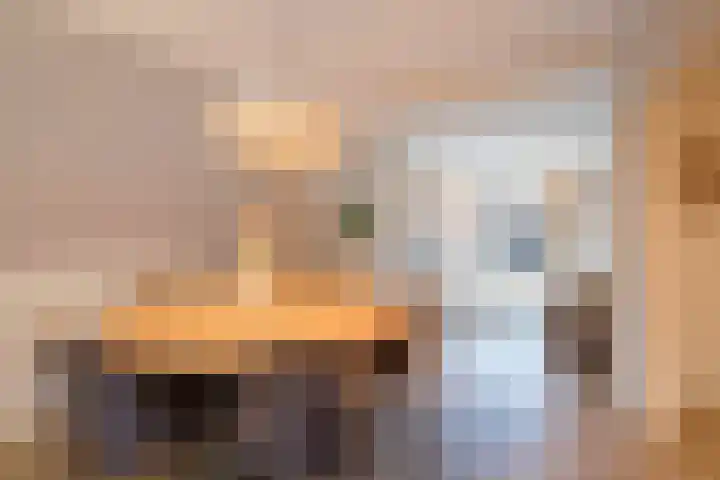 Tureluur 30 Genemuiden thumbnail 15