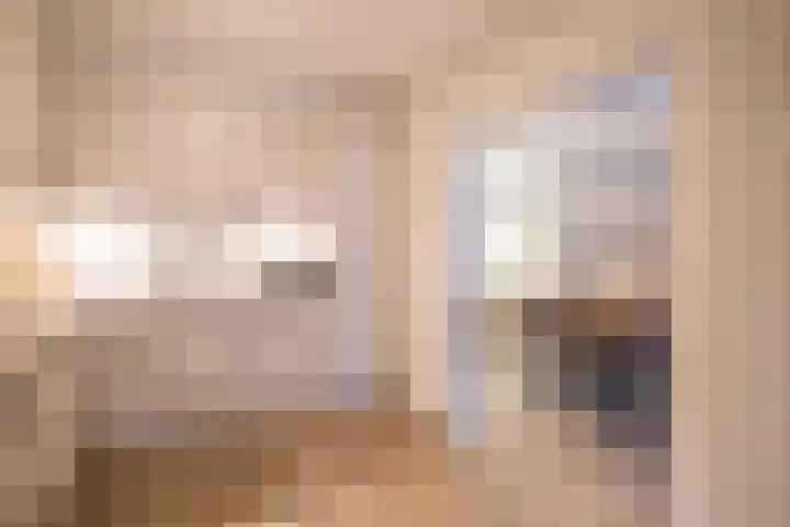 Tureluur 30 Genemuiden thumbnail 16