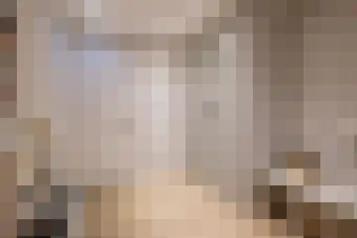Tureluur 30 Genemuiden thumbnail 18