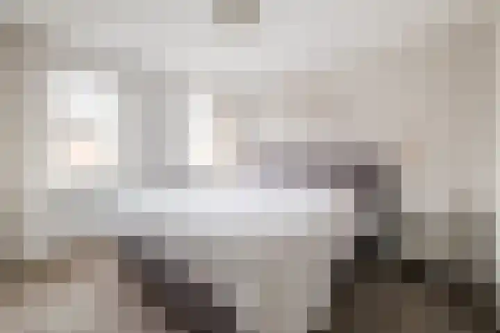 Tureluur 30 Genemuiden thumbnail 19