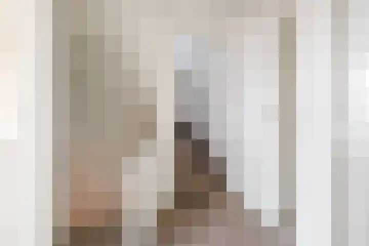Tureluur 30 Genemuiden thumbnail 21