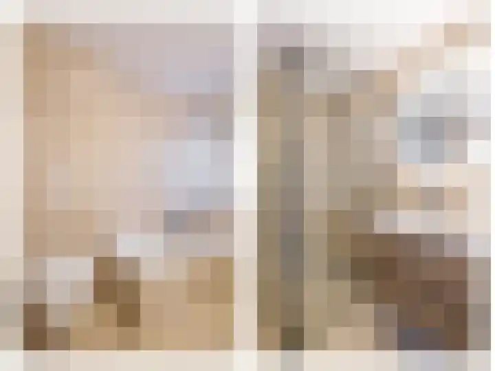 Tureluur 30 Genemuiden thumbnail 27